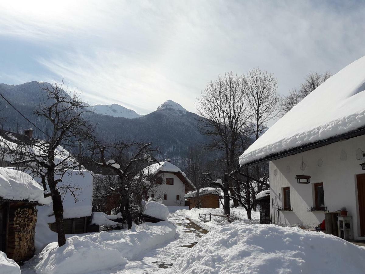 Snezak Apartment Bohinj Exterior photo