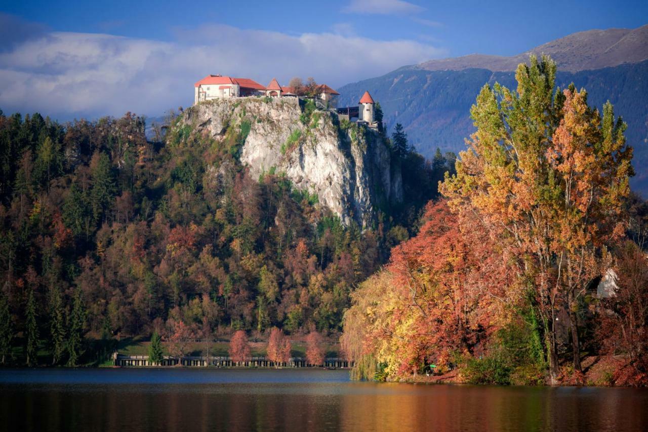 Snezak Apartment Bohinj Exterior photo
